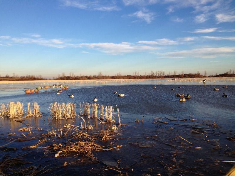 Mo Mallards Duck Pit Leases MO