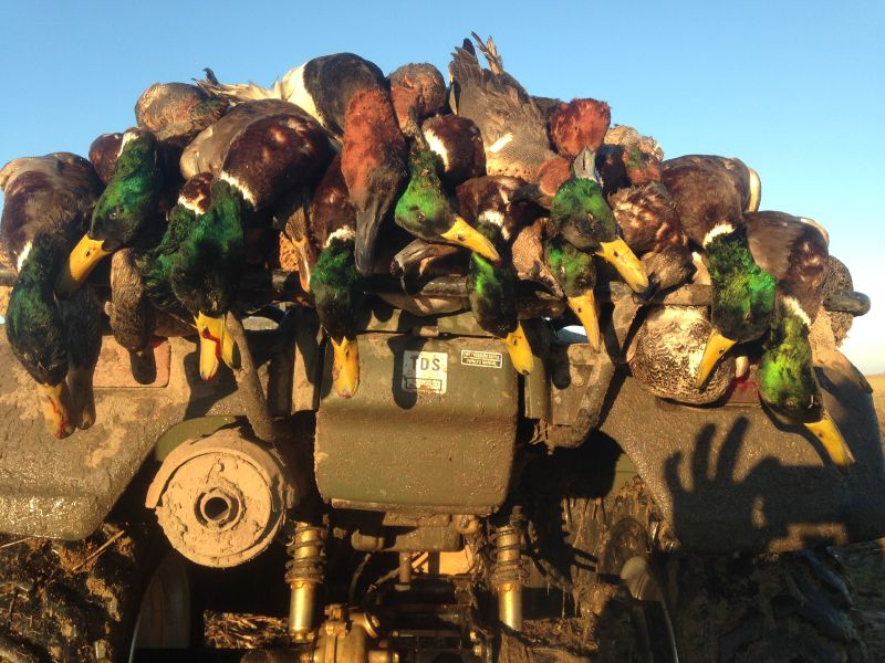 Mo Mallards Duck Pit Leases MO